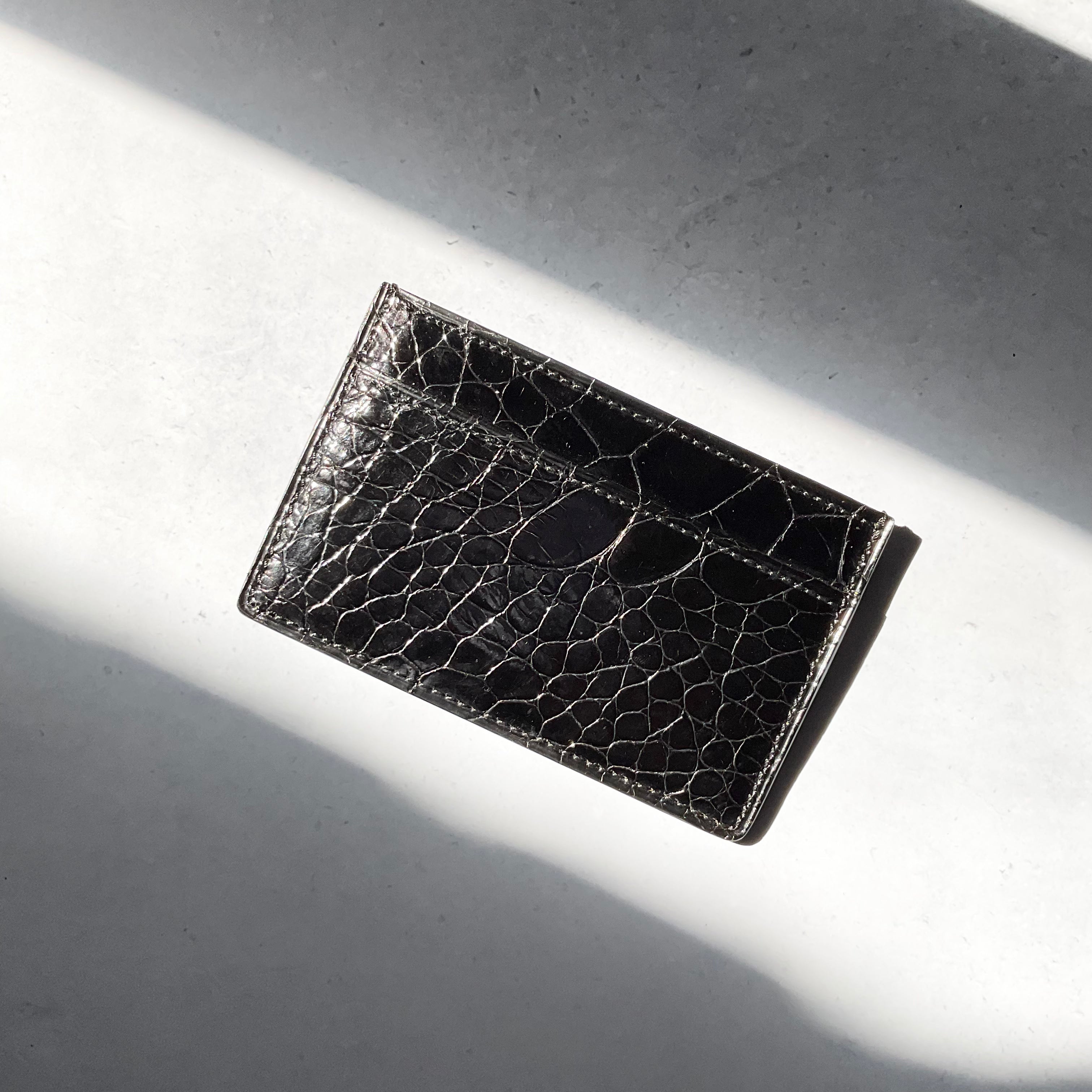 一点モノ コレクション<br>リアルタートル オール<br>単名刺&カードケース