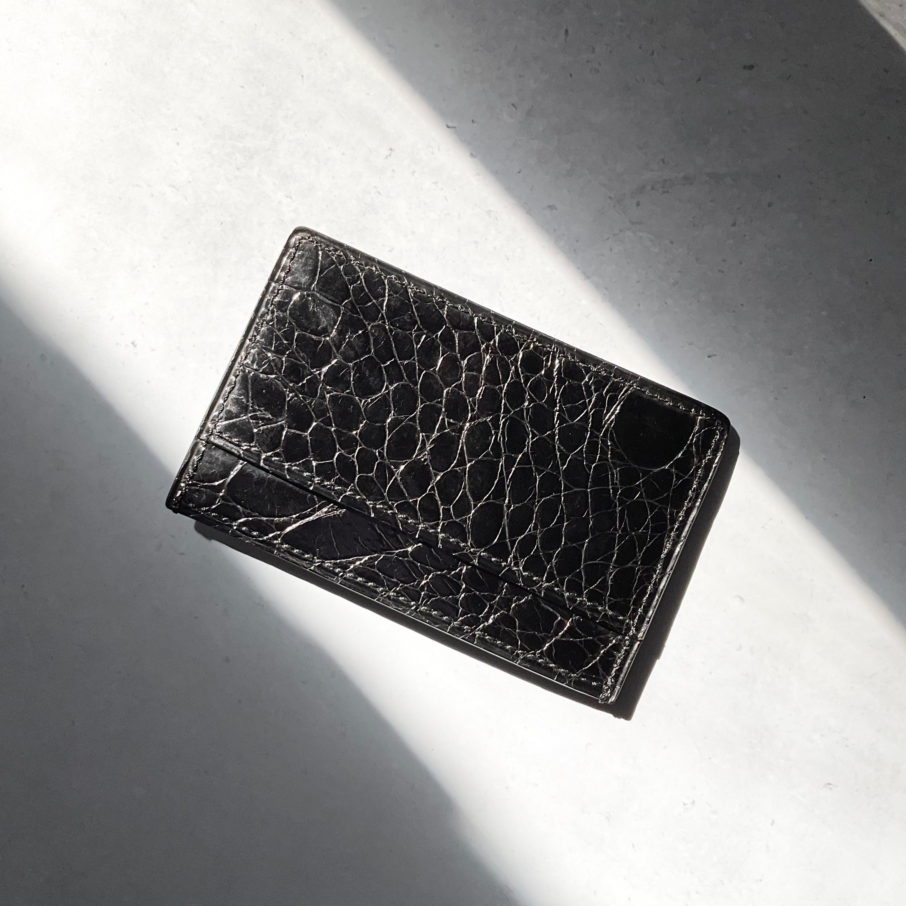 一点モノ コレクション<br>リアルタートル オール<br>単名刺&カードケース